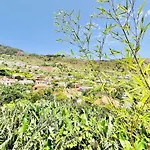 Casa Amoreiras By Ymr Arco da Calheta (Madeira)