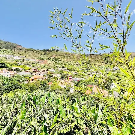 Casa Amoreiras By Ymr Arco da Calheta (Madeira)