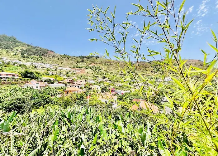 Casa Amoreiras By Ymr Arco da Calheta (Madeira)