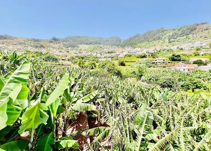 Casa Amoreiras By Ymr